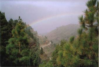 Regenboog bij Puntagorda